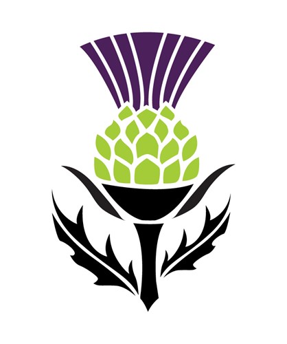 ENTREE - Cannelloni Al Forno