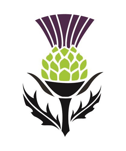 ENTREE - Roasted Root Vegetable Lasagna